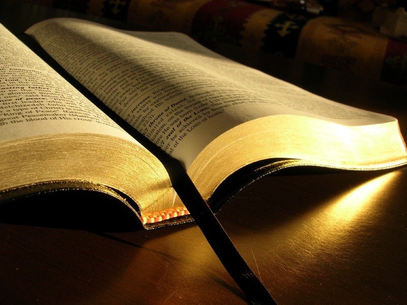 La Bibbia Parola di Dio per l'uomo d'oggi», mostra itinerante disponibile  per parrocchie, scuole, istituti - Diocesi di Torino