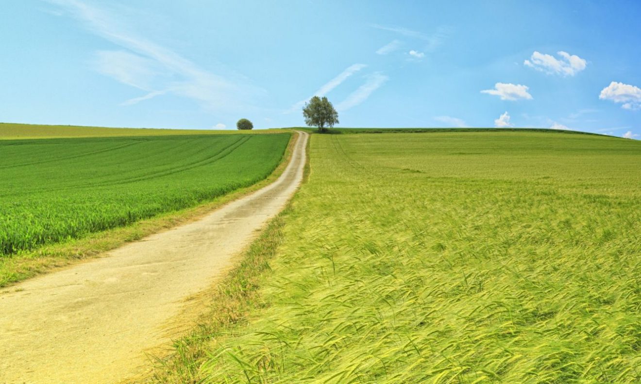 «Il tesoro nascosto e la perla preziosa», nuova Lettera pastorale di mons. Nosiglia