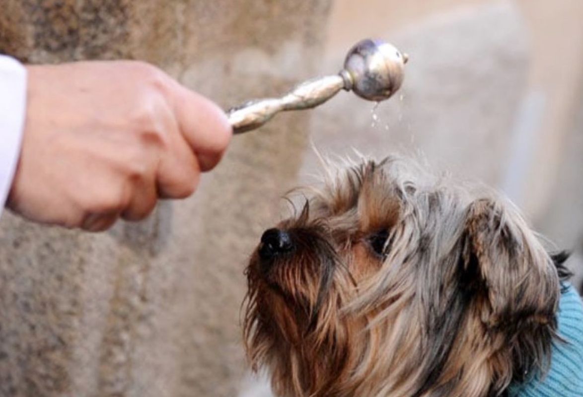 Diocesi Torino: benedizione di un cane nella festa di S. Antonio Abate