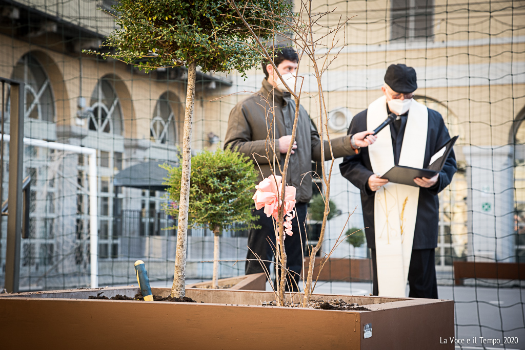 Mons. Nosiglia agli Artigianelli per la piantumazione dell’albero della Dottrina Sociale (23 novembre 2020)