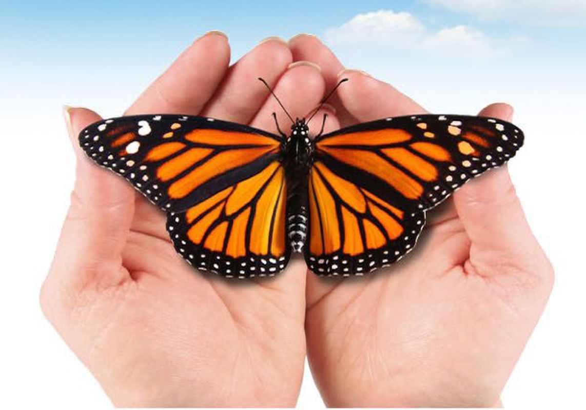 «Metamorfosi del credere. Alla ricerca di germogli nuovi», Giornata diocesana dei catechisti