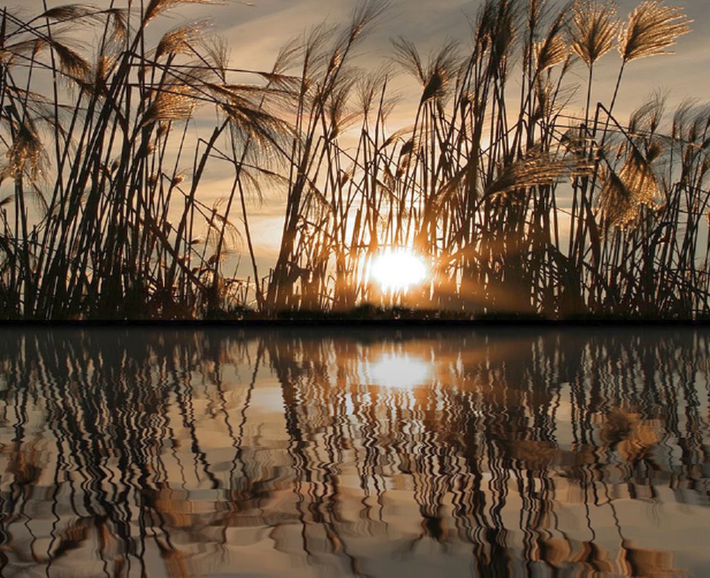 «Comunità fraterne riflesso di carità», XXXV Giornata Caritas diocesana