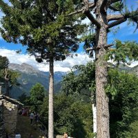 Giraudo_Santuario_Santa_Cristina_Cantoira_26-07-25-10.jpg