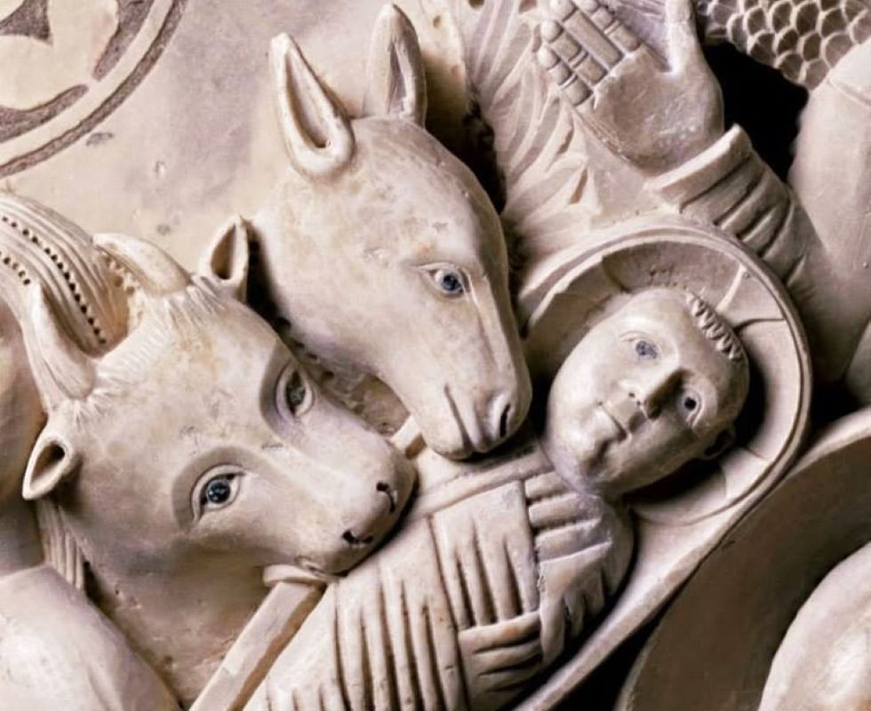 Per Natale auguriamoci di essere come il bue e l’asino della mangiatoia